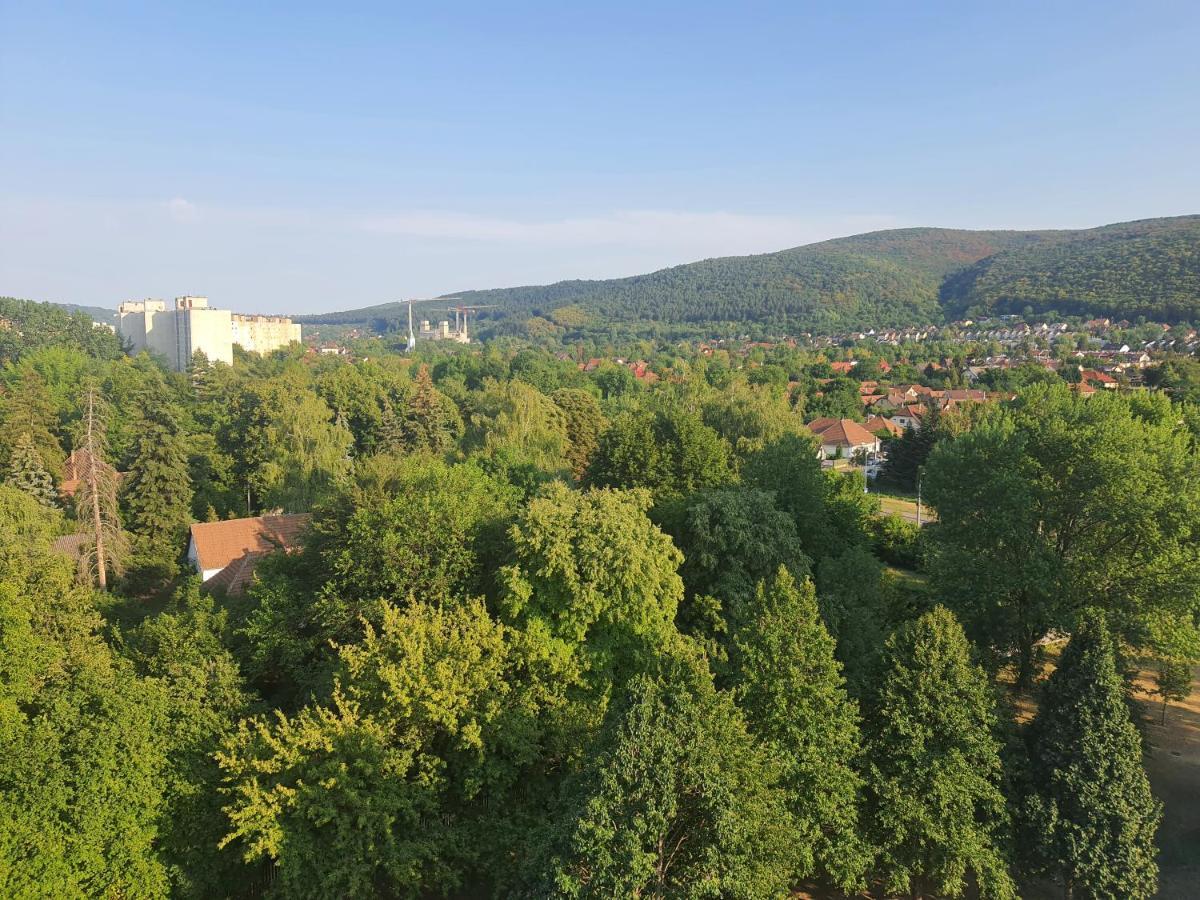 Hegyalja Apartman Мішкольц Екстер'єр фото